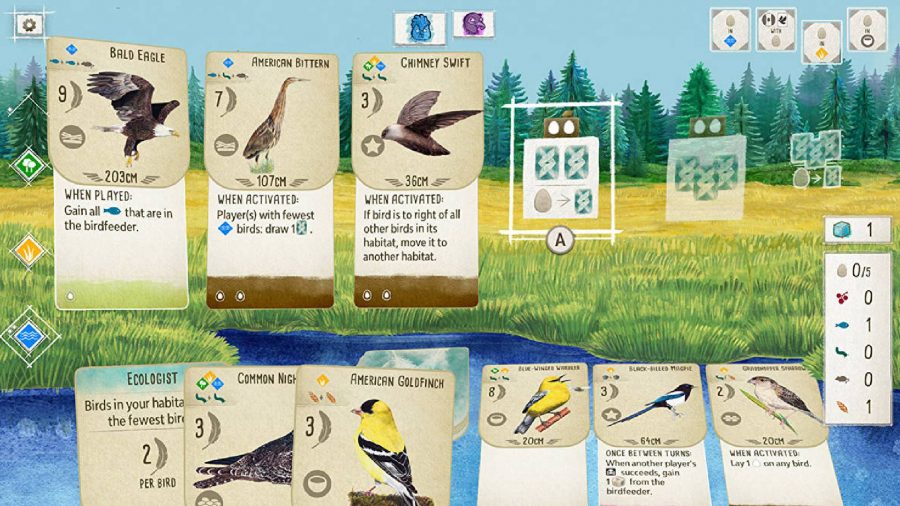 A series of cards are visible with different colourful illustrations of birds 
