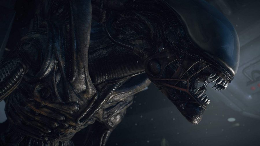 A close up of the Xenomorph