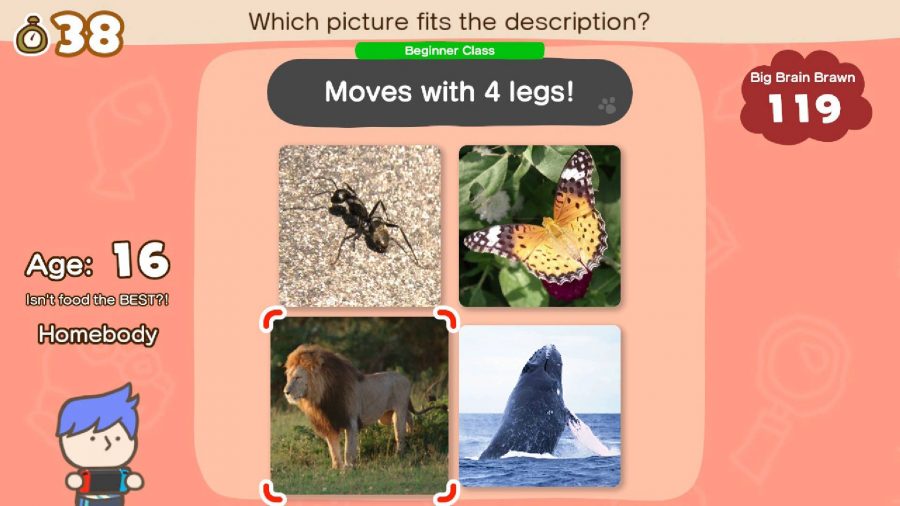 A game asks which of the visible animals walks on four legs 