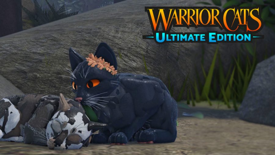 Two cats sitting next to the Warrior Cats logo