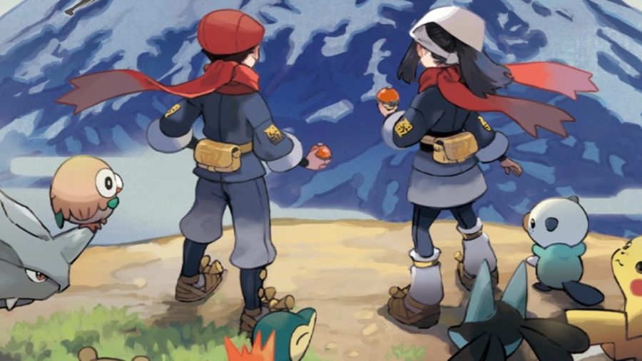 Two trainers on a cliff surrounded by pokemon