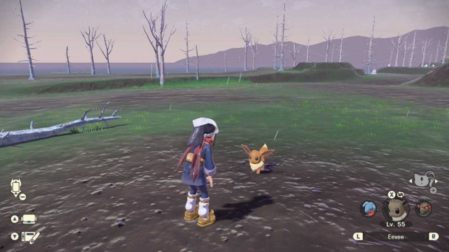 Eevee stood in front of a trainer