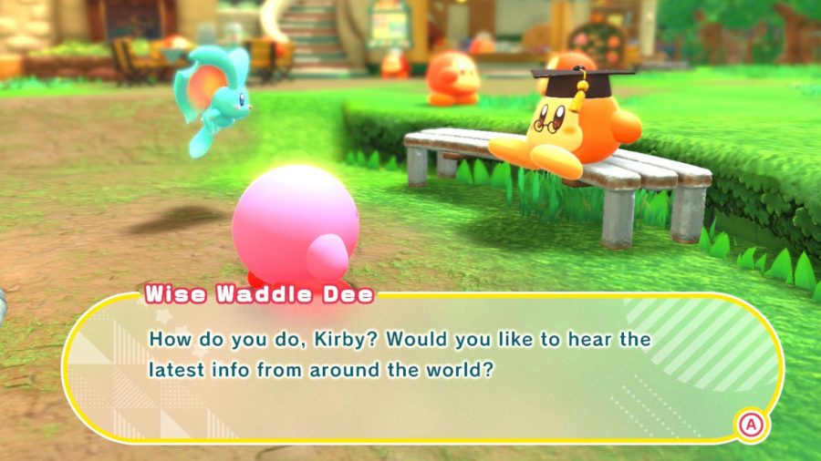 Wise waddle dee talks to Kirby