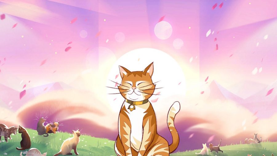 A happy cat sitting in front of a pink sky