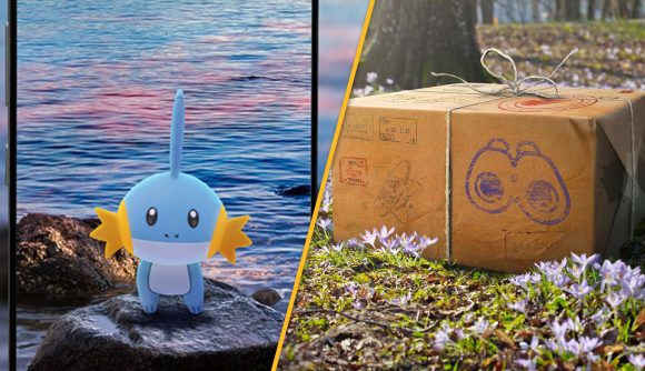 Mudkip stood on a rock in front of the sea, and a box in a forest