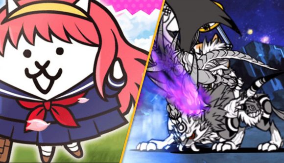A schoolgirl cat and a huge angry feline