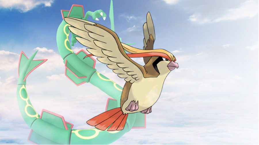 Flying Pokémon Pidgeot