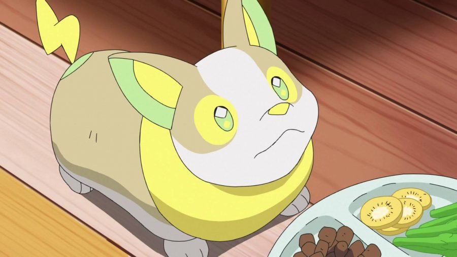 Best dog Pokemon: the electric type Pokemon Yamper looks up from it's food