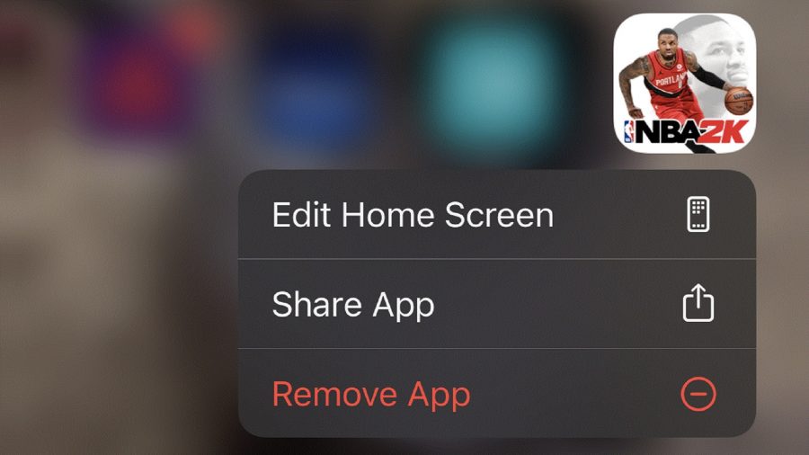 A screenshot of the remove app option on iPhone