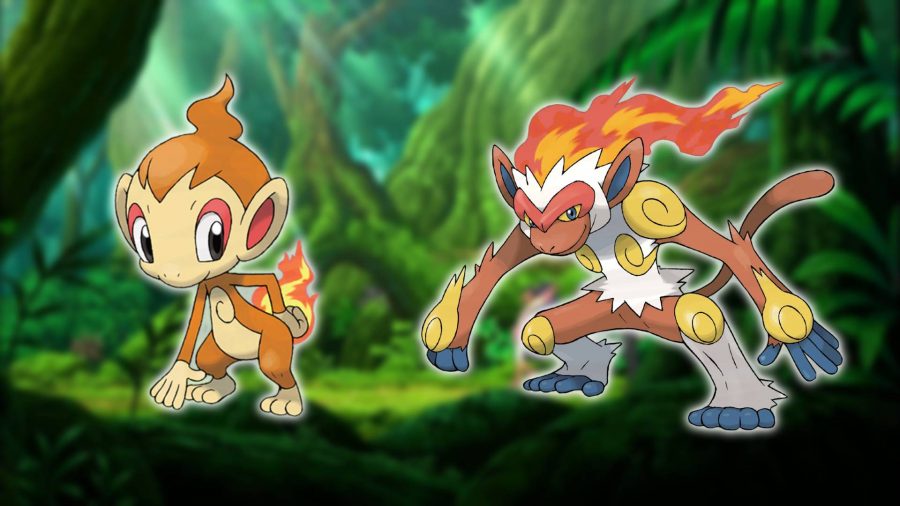 Monkey Pokemon: With a jungle-based Pokemon still in the background, an image shows the monkey Pokemon Chimchar and Infernape