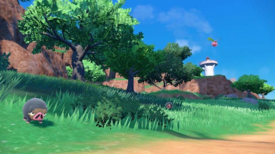 Lechonk, an Iberian pig Pokemon, in the grass by a shady tree, with touches of dirt in the foreground, some stony structures behind, and a clear blue sky, in a screenshot from Pokémon Scarlet & Violet.