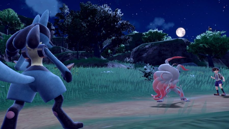Kody tajemniczego prezentu Pokemon Scarlet i Violet: Lucario i Hisuian Zoroark walczą w bitwie